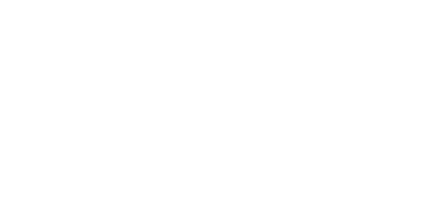하이롤러 시스템 logo